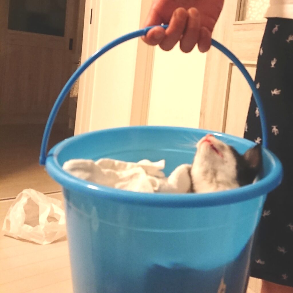 バケツで運ばれるマック