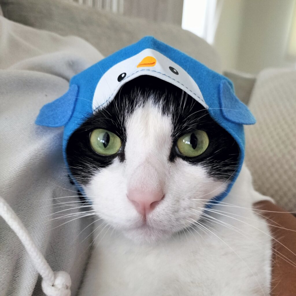 ペンギンさんになってみましたにゃ