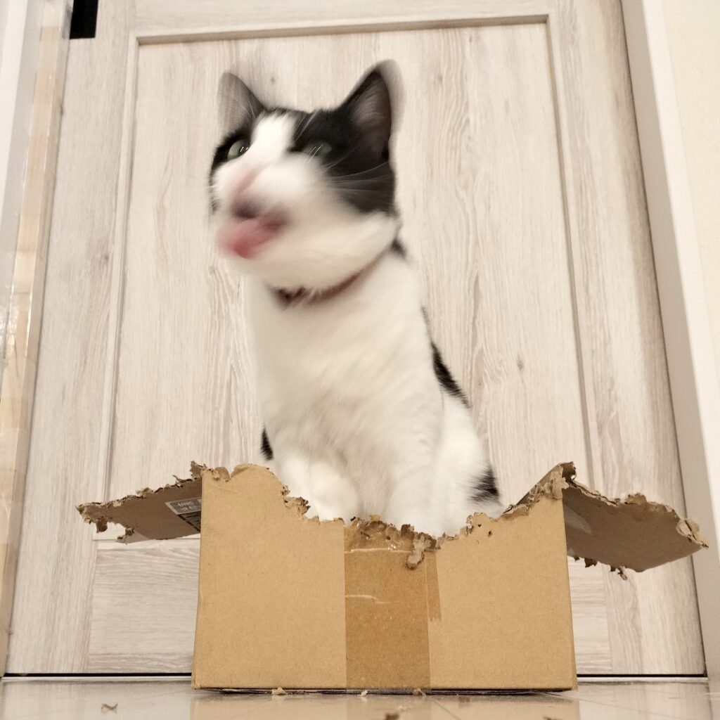 ペッに力が入る棟梁マック