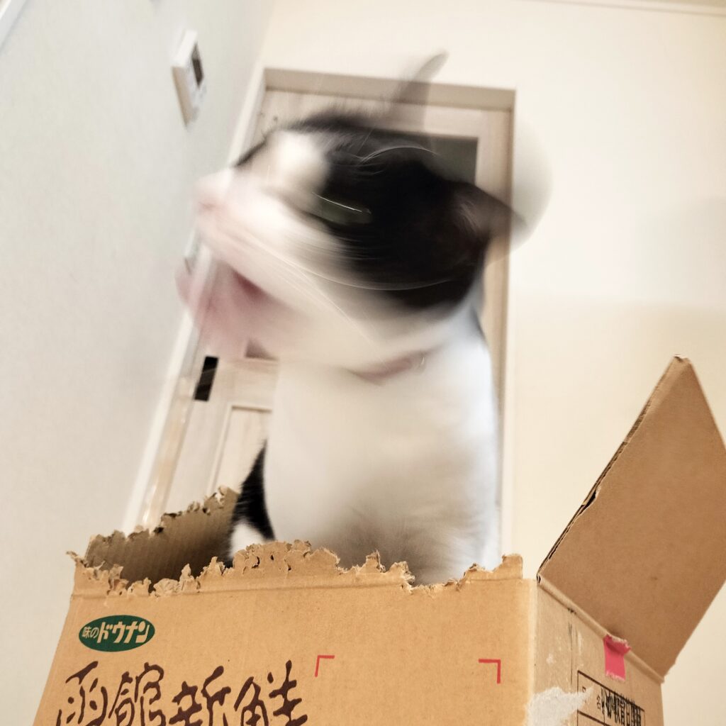 本気を出したときの棟梁マック