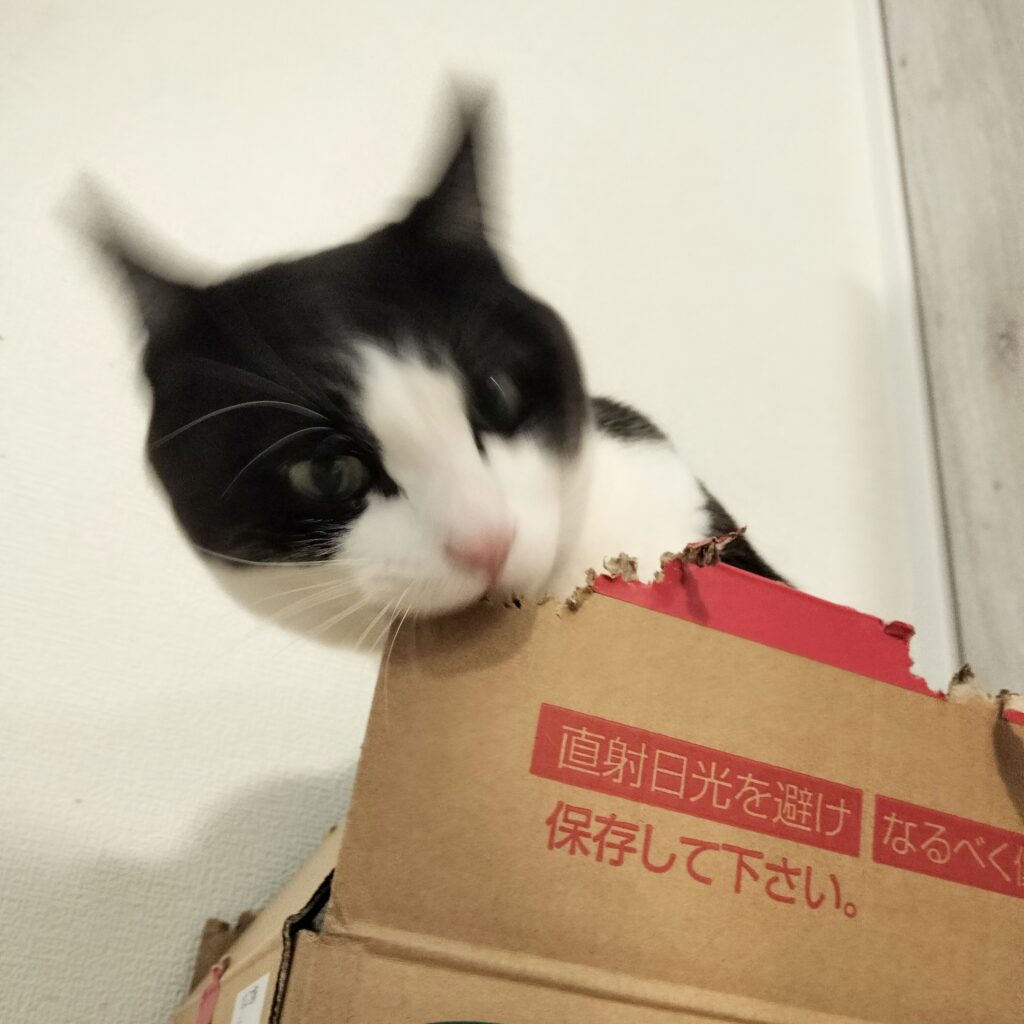 隅っこも気合入れてカミカミする棟梁