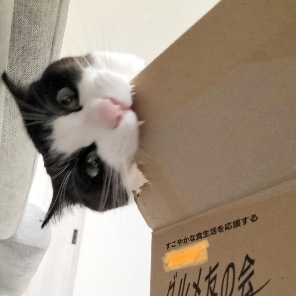 薄手の段ボールは作業の効率がよく納品が早い